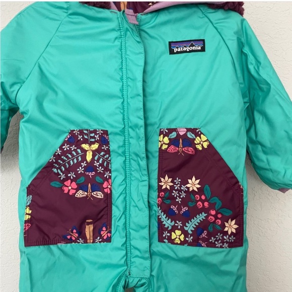 Patagonia Bunting - Picture 5 of 6